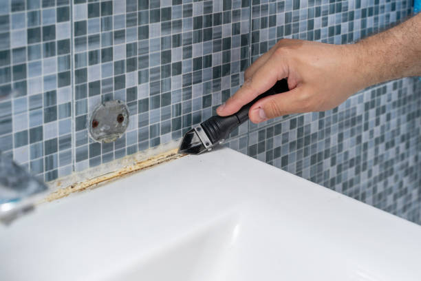 Best Mold Testing and Inspection Services in Winnebago, IL